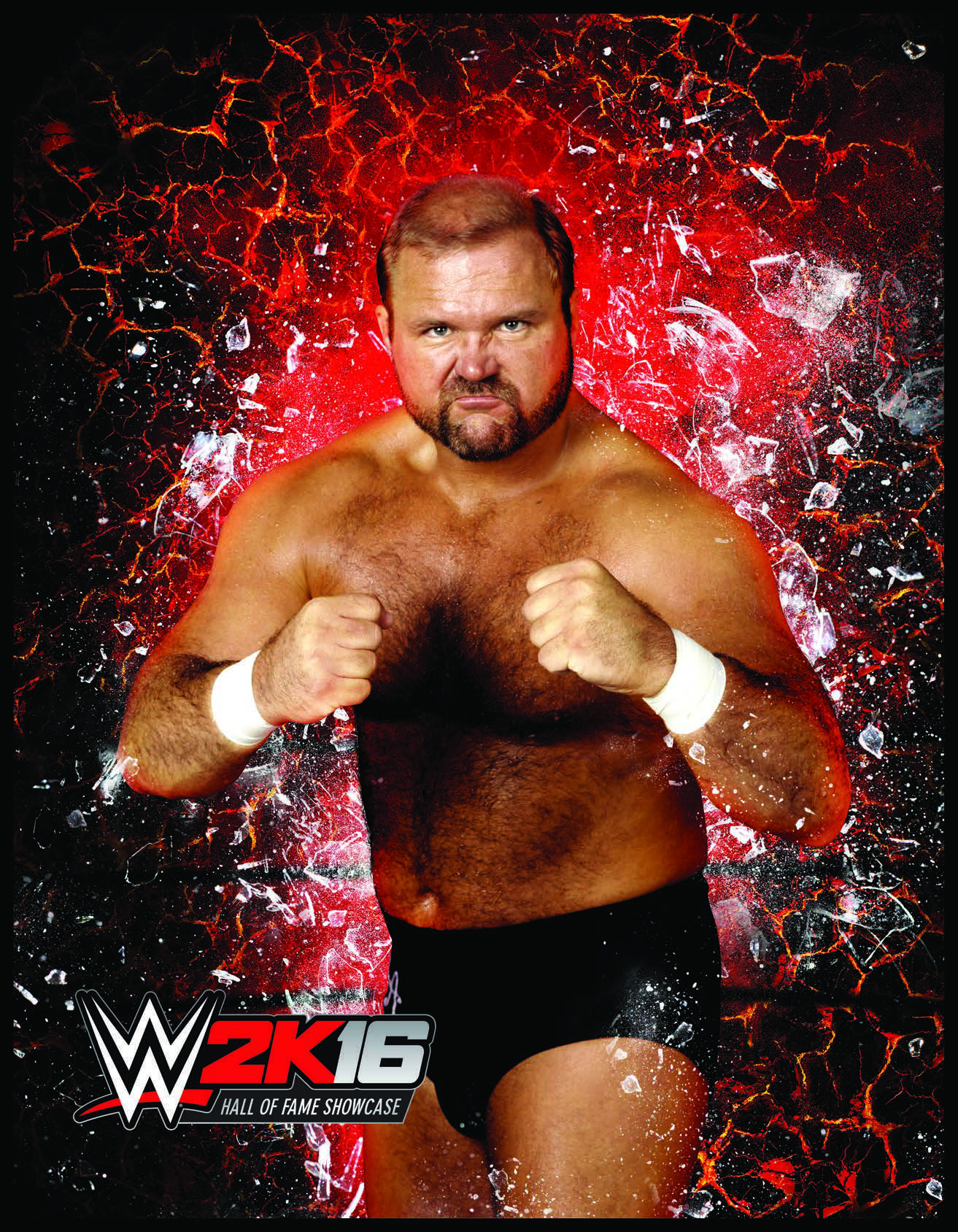 Arn Anderson