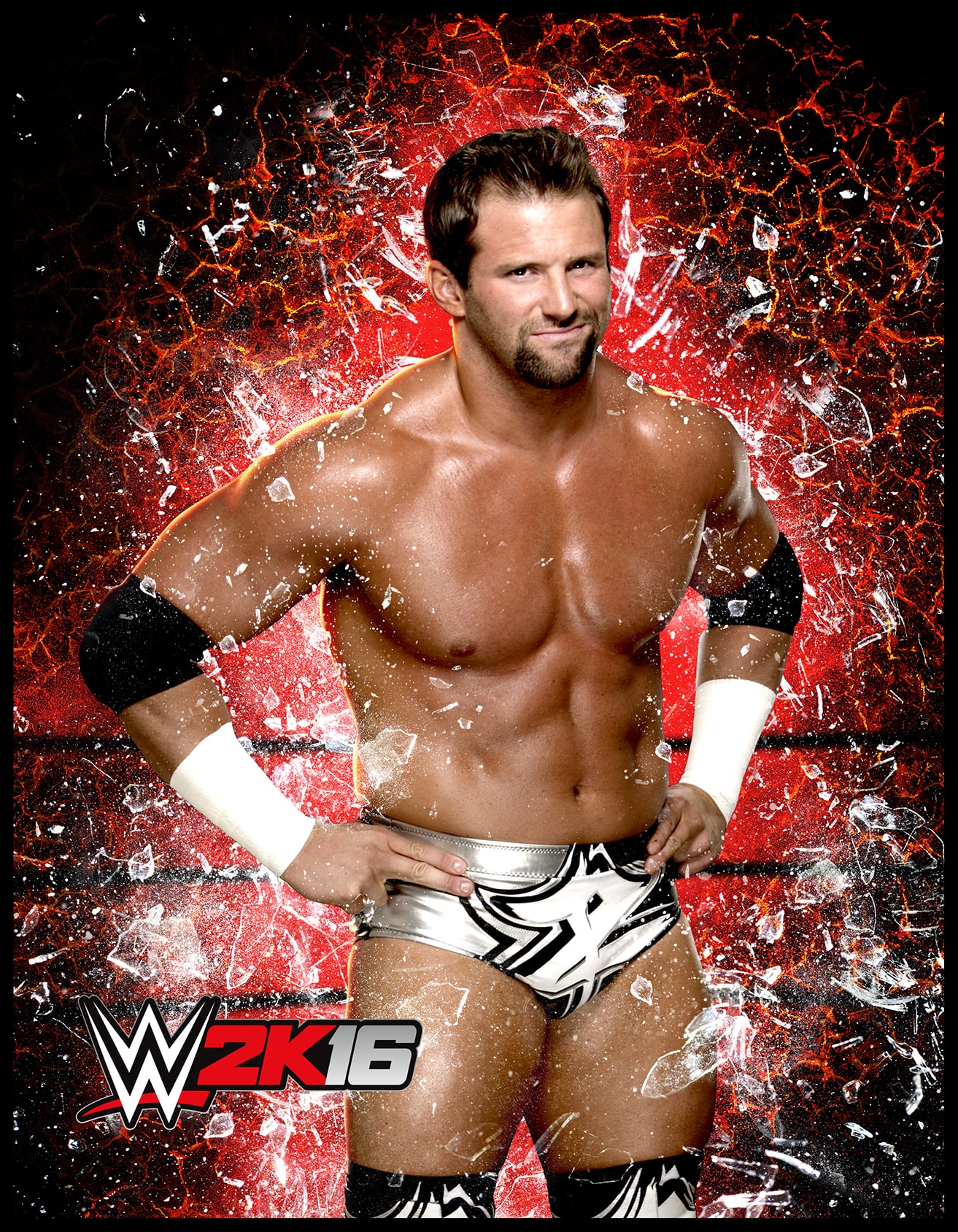 WWE 2k16 Roster Cards #28