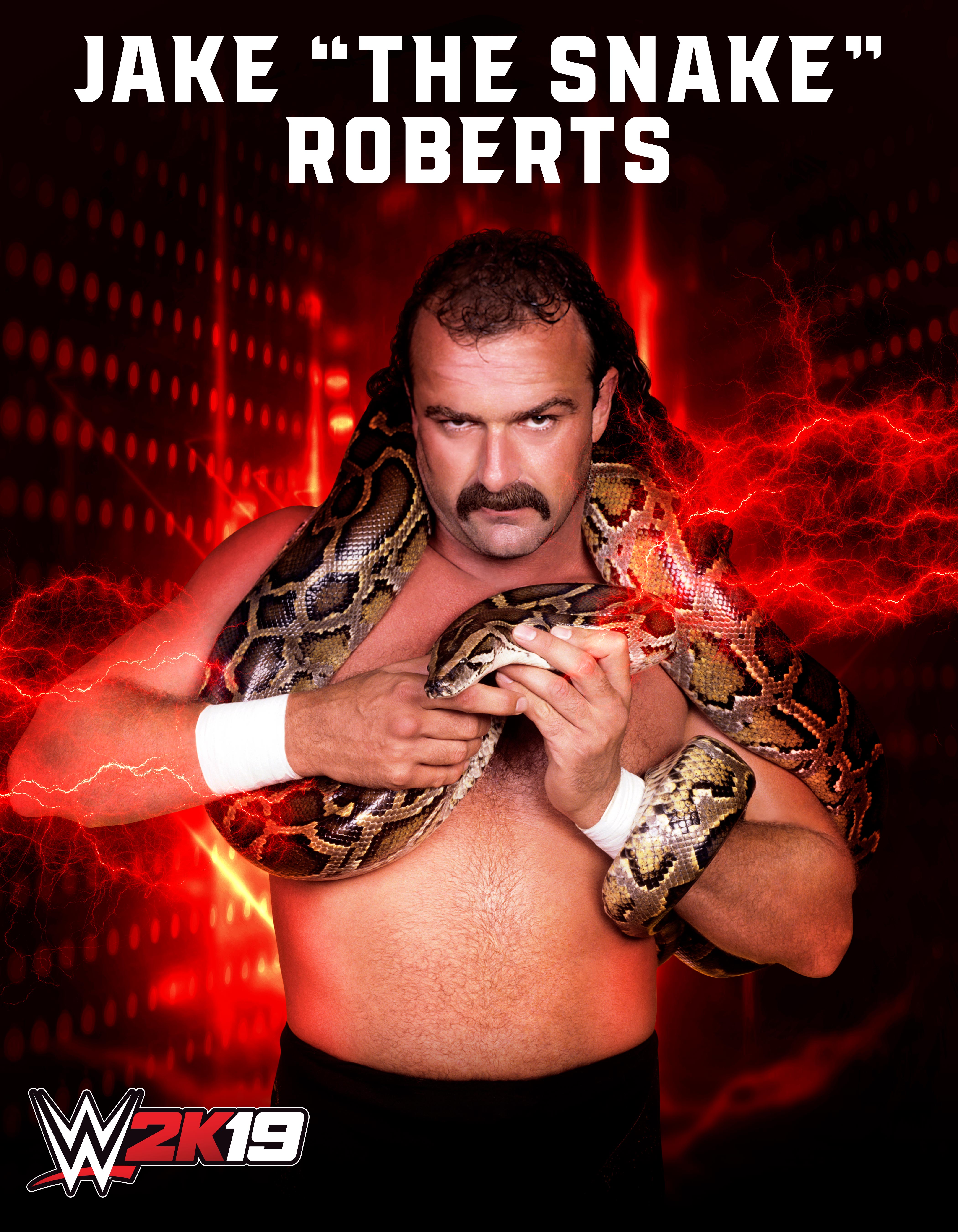 Jake The Snake Roberts