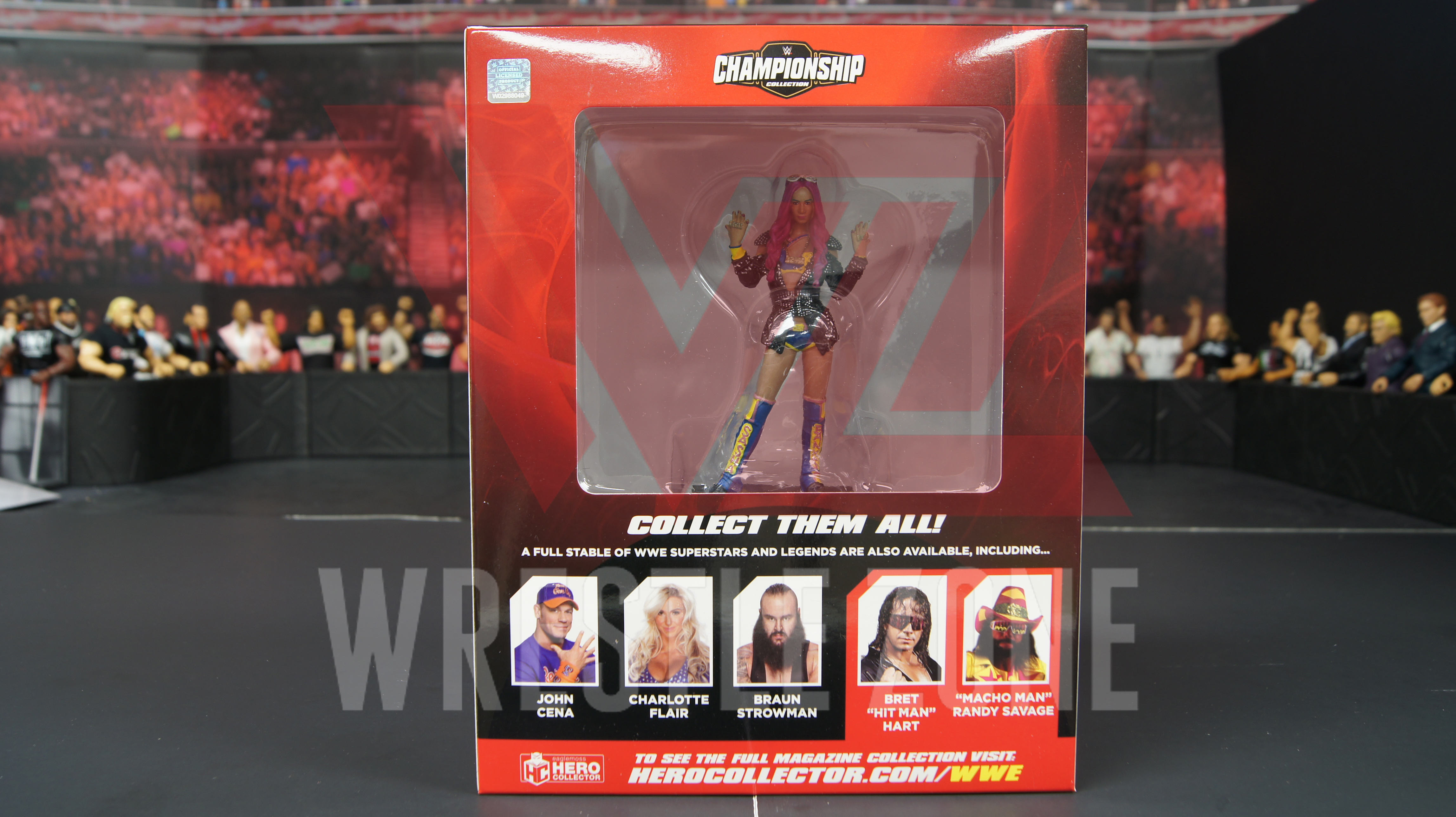 Wwe_hero_collector_sasha_a