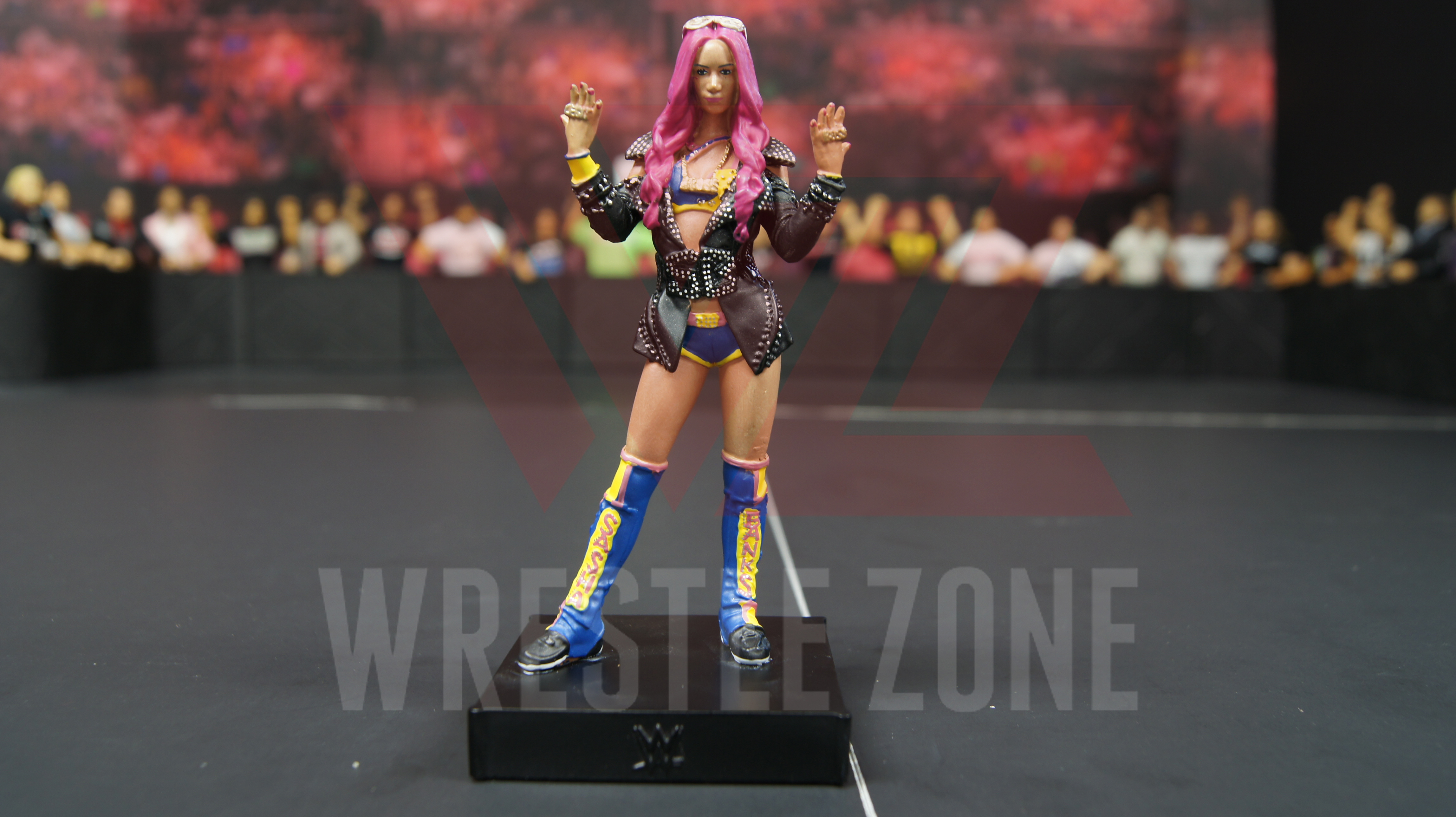 Wwe_hero_collector_sasha_e