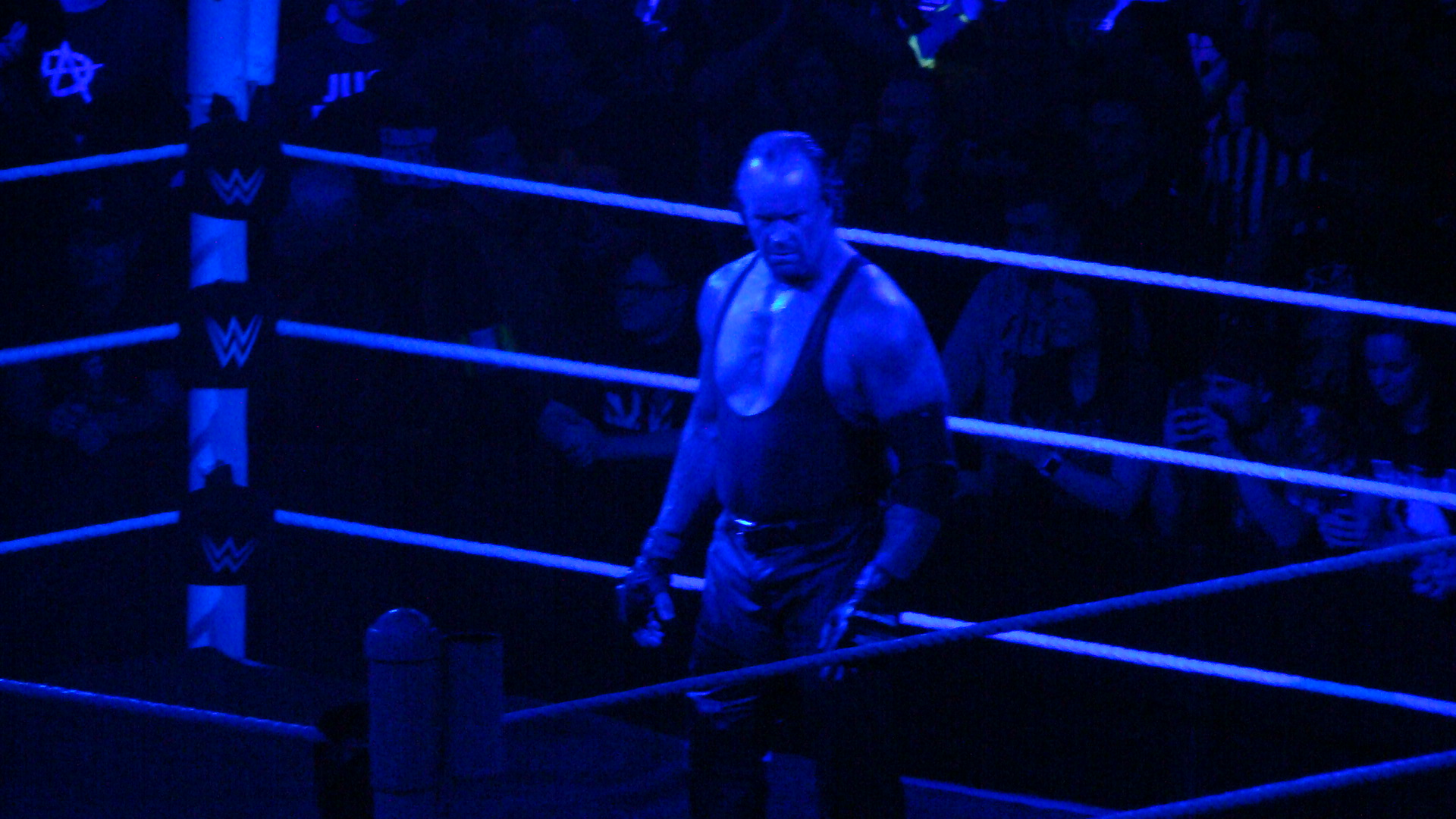 The Undertaker