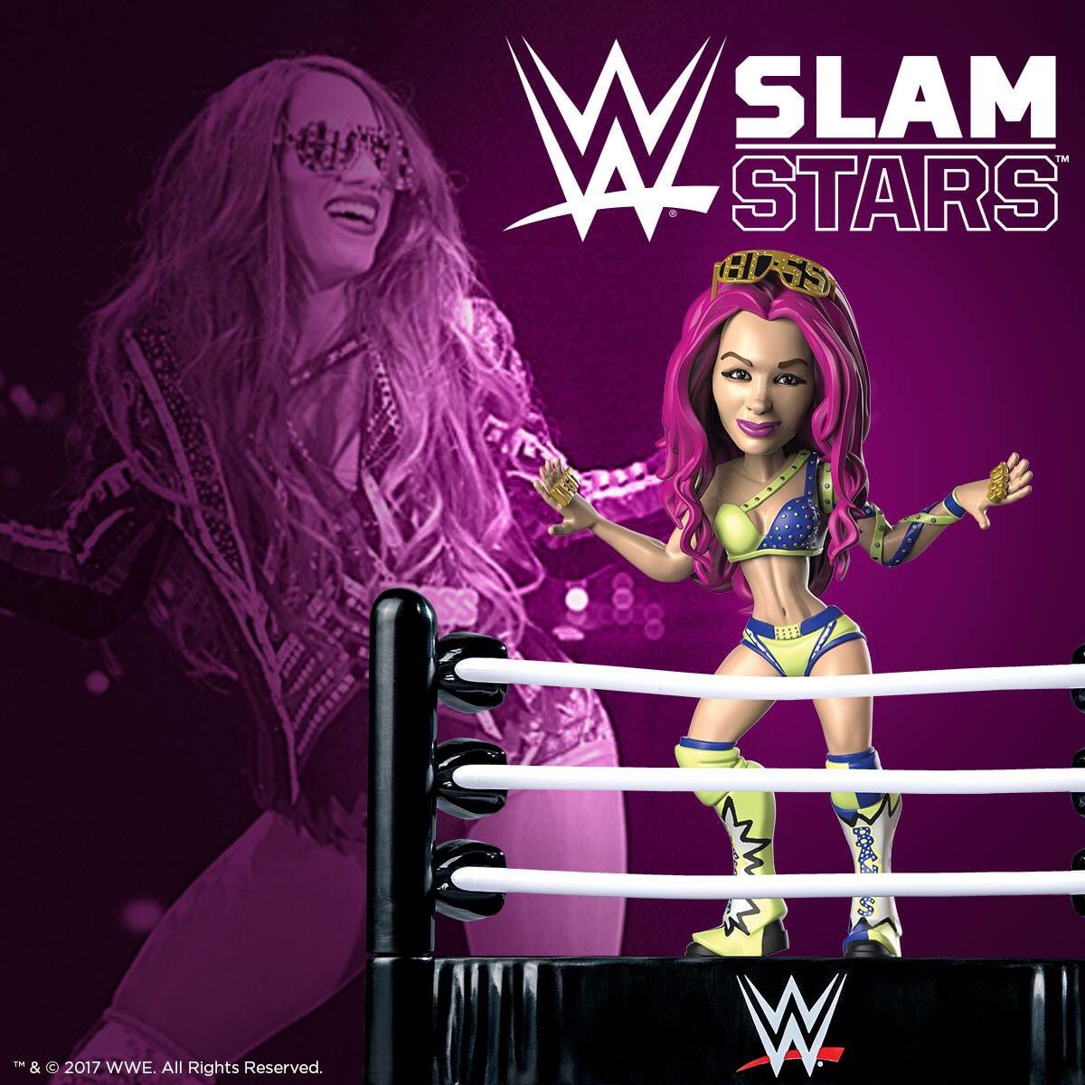 Wwe Slam Crate Sasha Banks